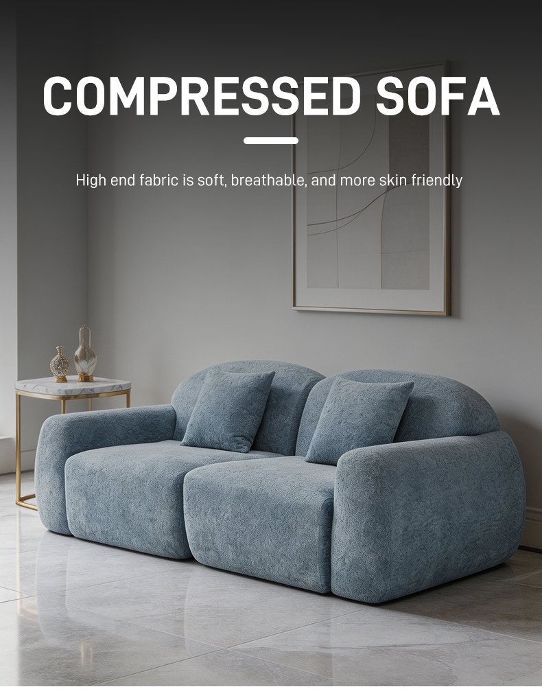 S225-2 OEM Foshan Factory Modern Fabric Sponge 2-seater Segmented Sofa Set Vacuum Packaging Compression Apartment Furniture