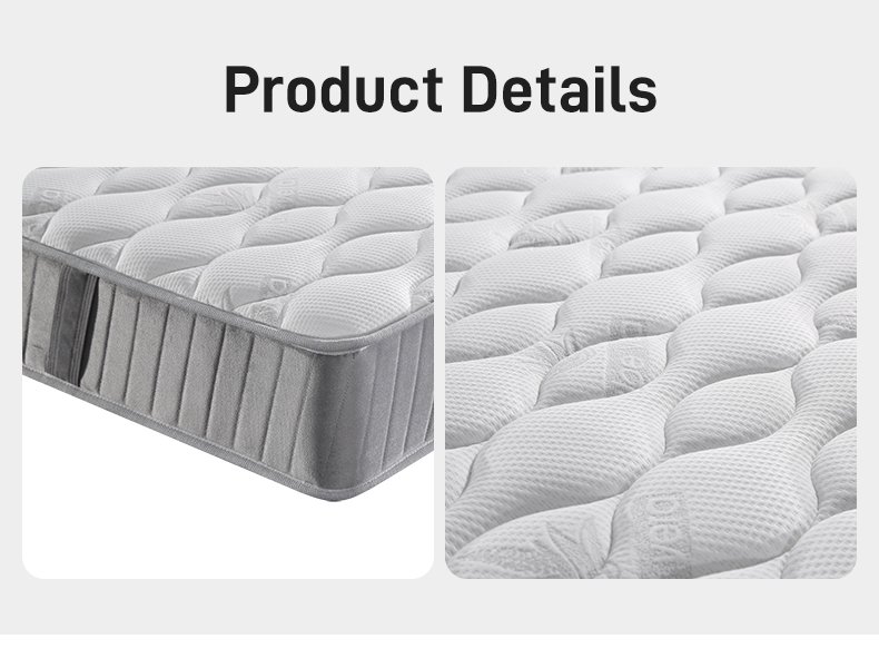 M005 2026 New Independent Bag Spring Cartons Compressed Sofa 23cm Thick 1.5/1.8 m Household Mattresses Simple Fashion Design on Sale