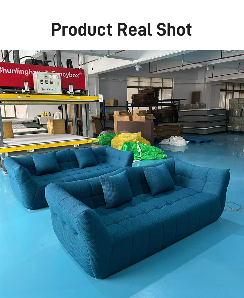 S251 Hot Selling European Sofa Designer Sofa Compression Packaging Color and Size to Choose From Can Be Customized on Demand